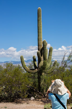 saguaro np east-45